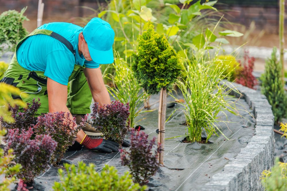 landscape and gardening services